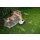 i MOW 3