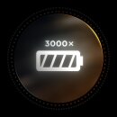 Akku AP 300.0 P C